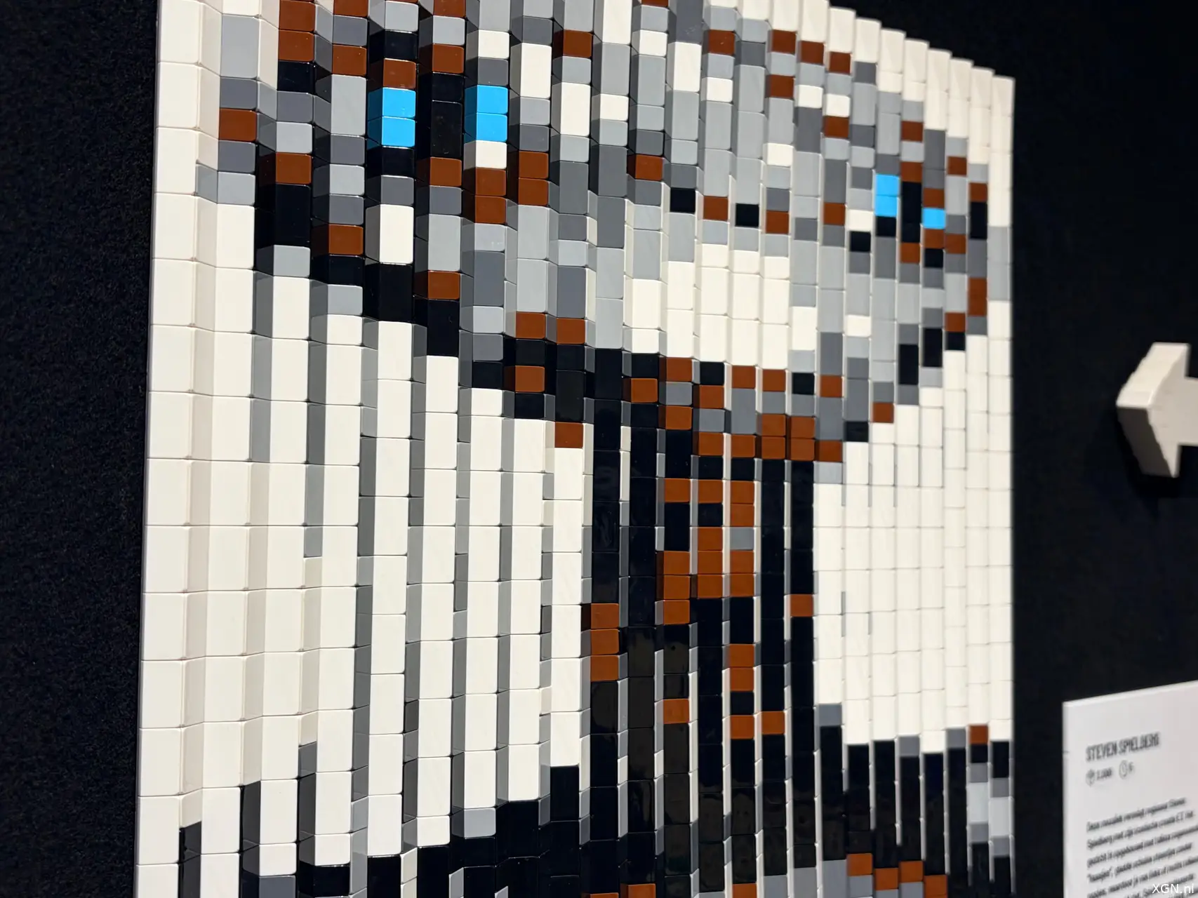 LEGO Bricks of Wonder