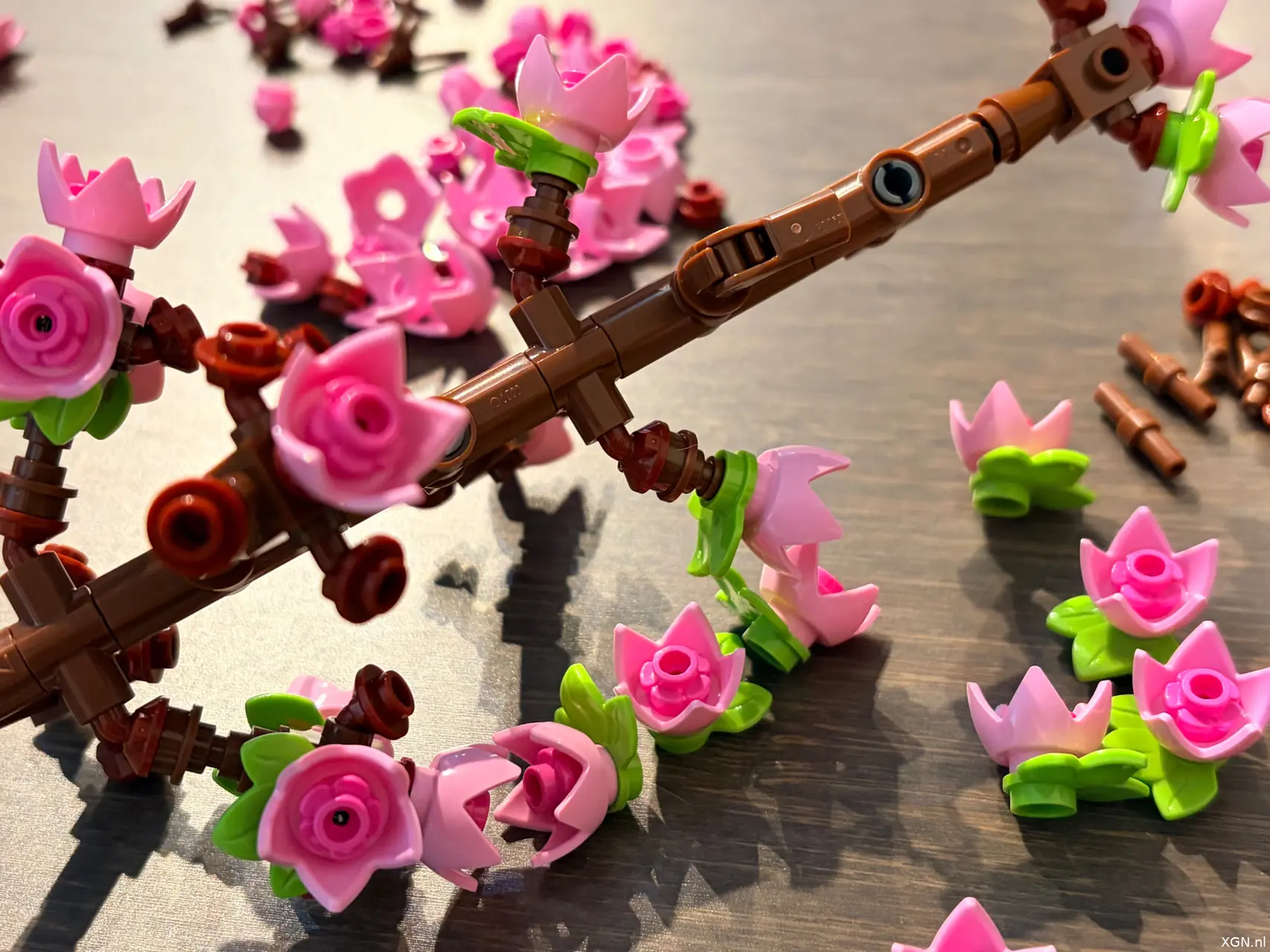 LEGO Botanicals 40725 cherry blossoms Roze