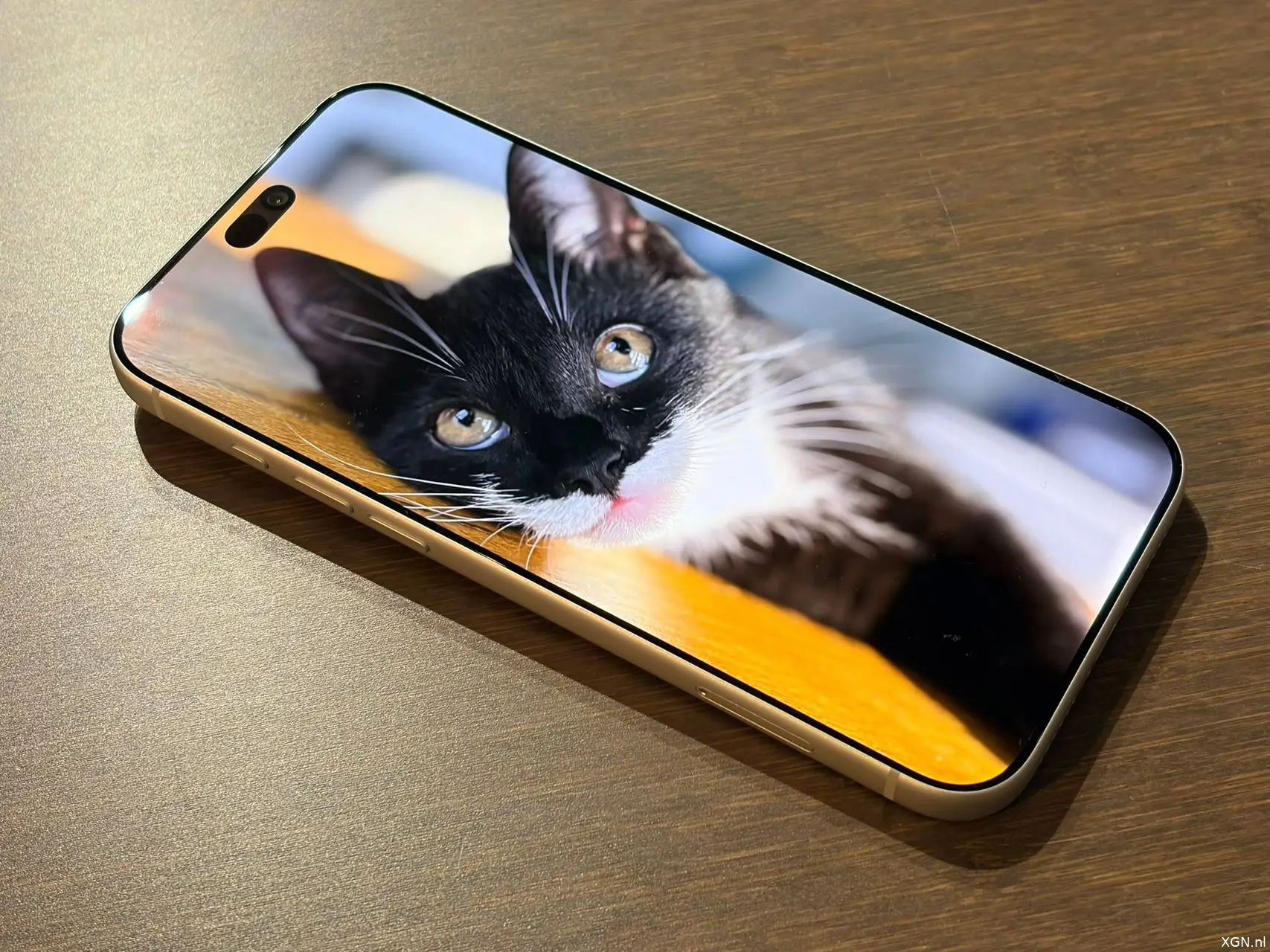 iPhone 18 Pro Max Review nova