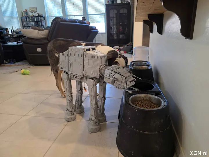 De&nbsp;Louisiana Catahoula luipaardhond naast de LEGO Star Wars AT-AT-set.