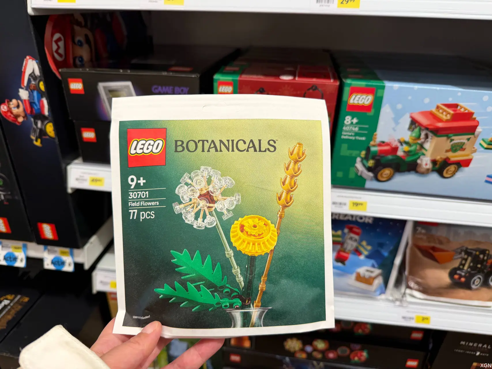 LEGO Botanicals veldbloemen