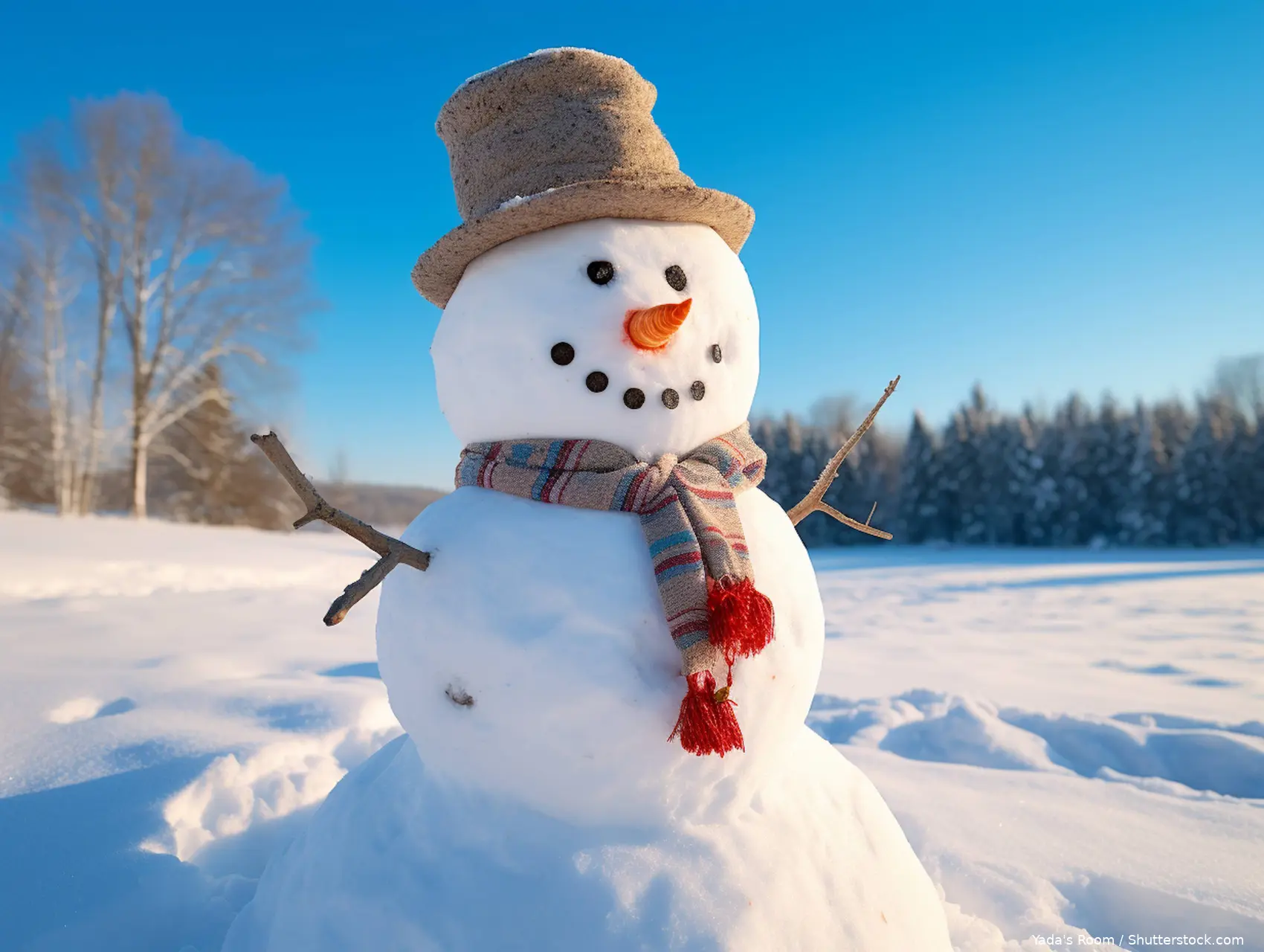shutterstock_2345180715