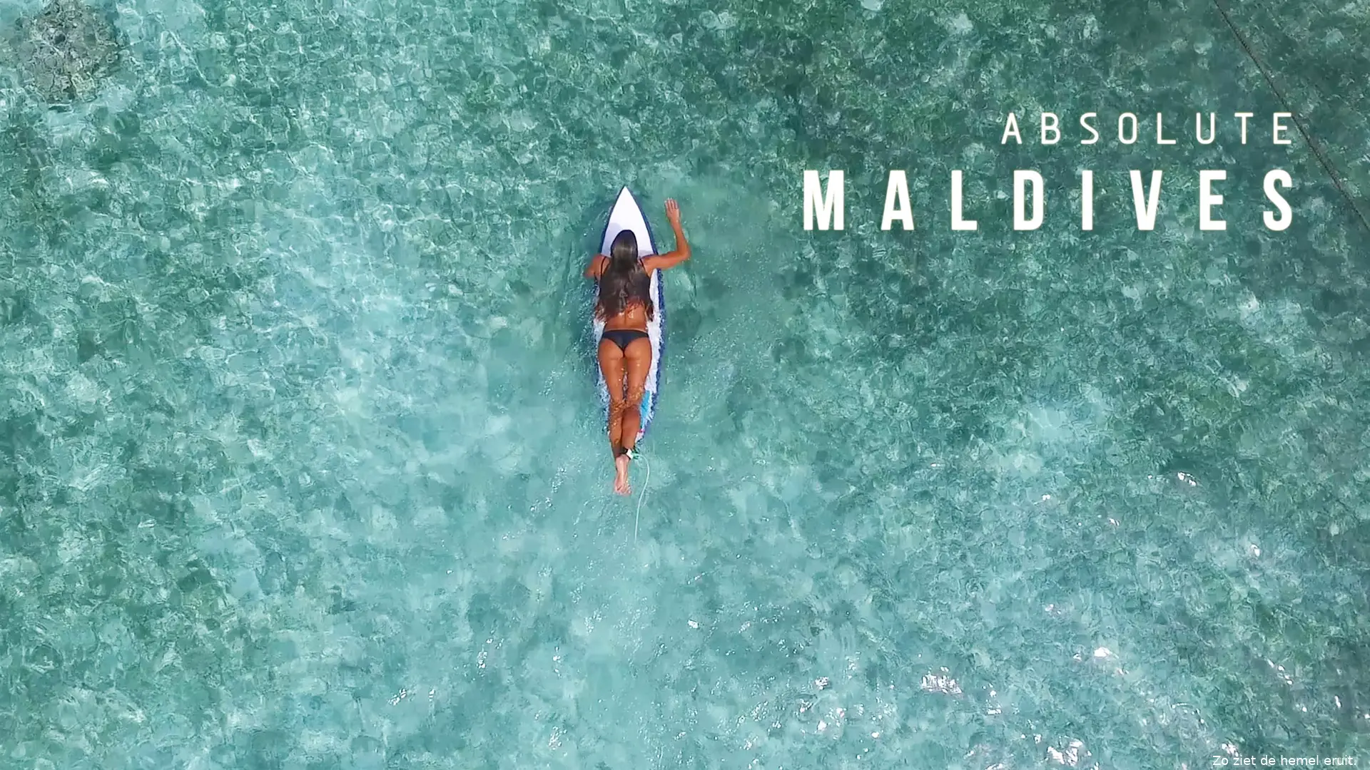 absolute maldives
