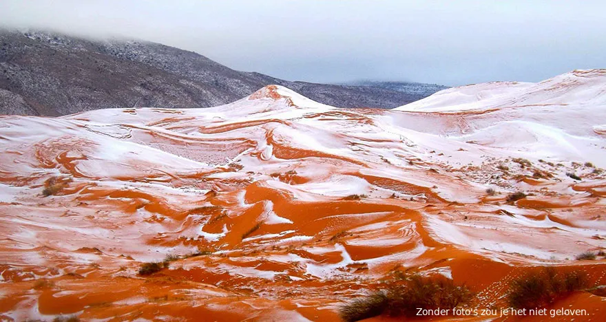 sahara sneeuw01