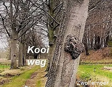 Open middag Zwollemoer