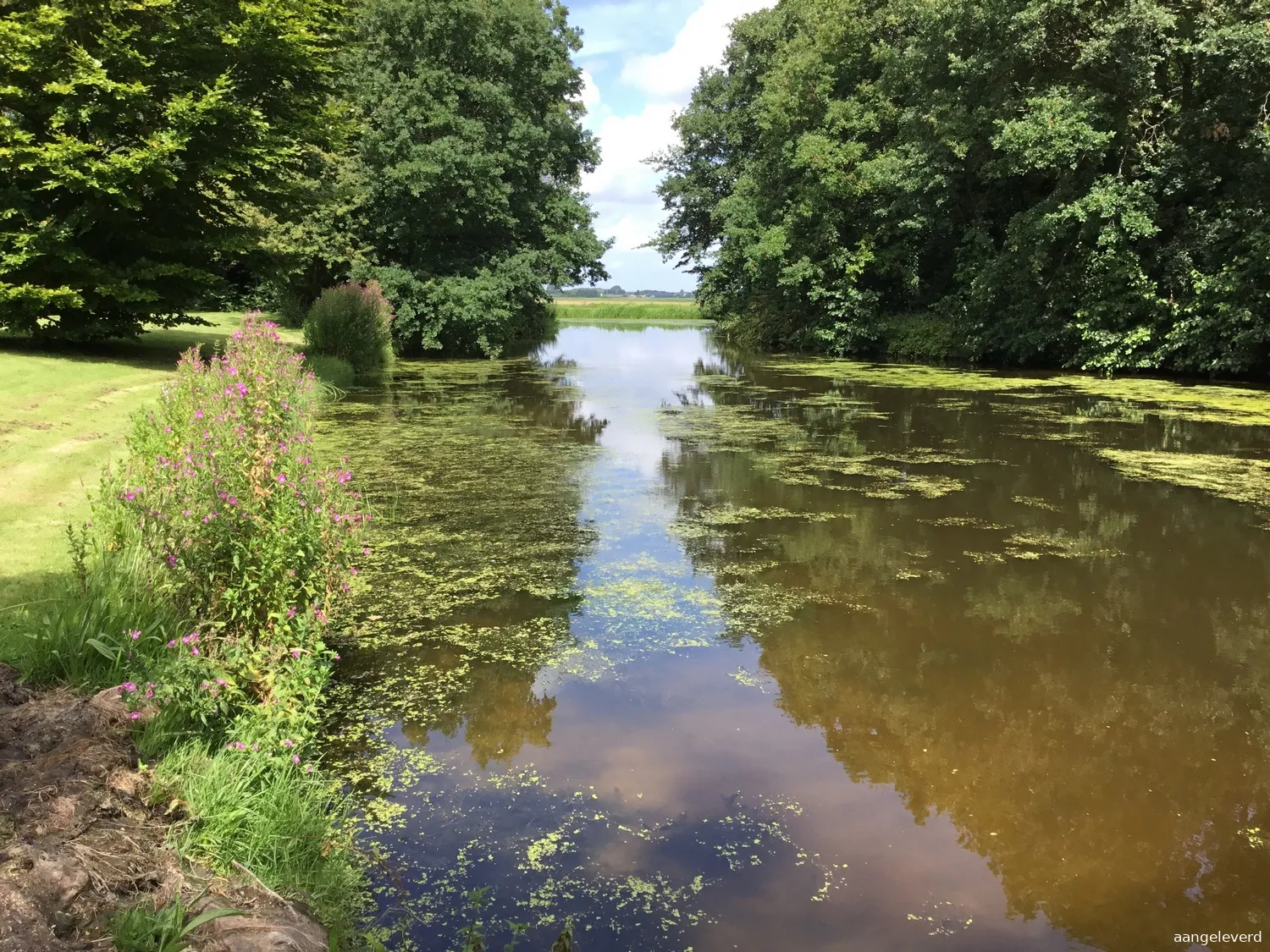 pb 08 3 flap en kroos in de singels is signaal voor slechtere waterkwaliteit 1