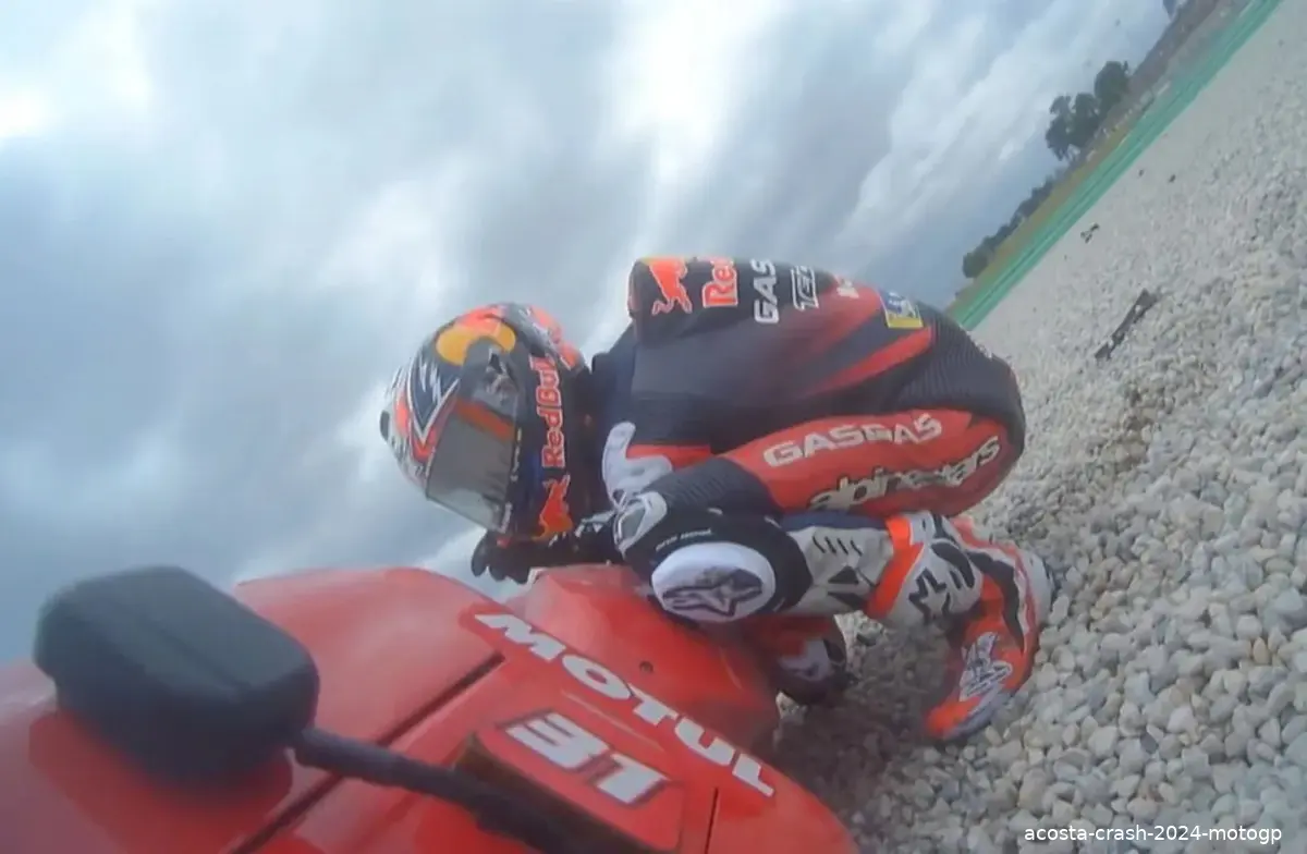 acosta crash 2024 motogp