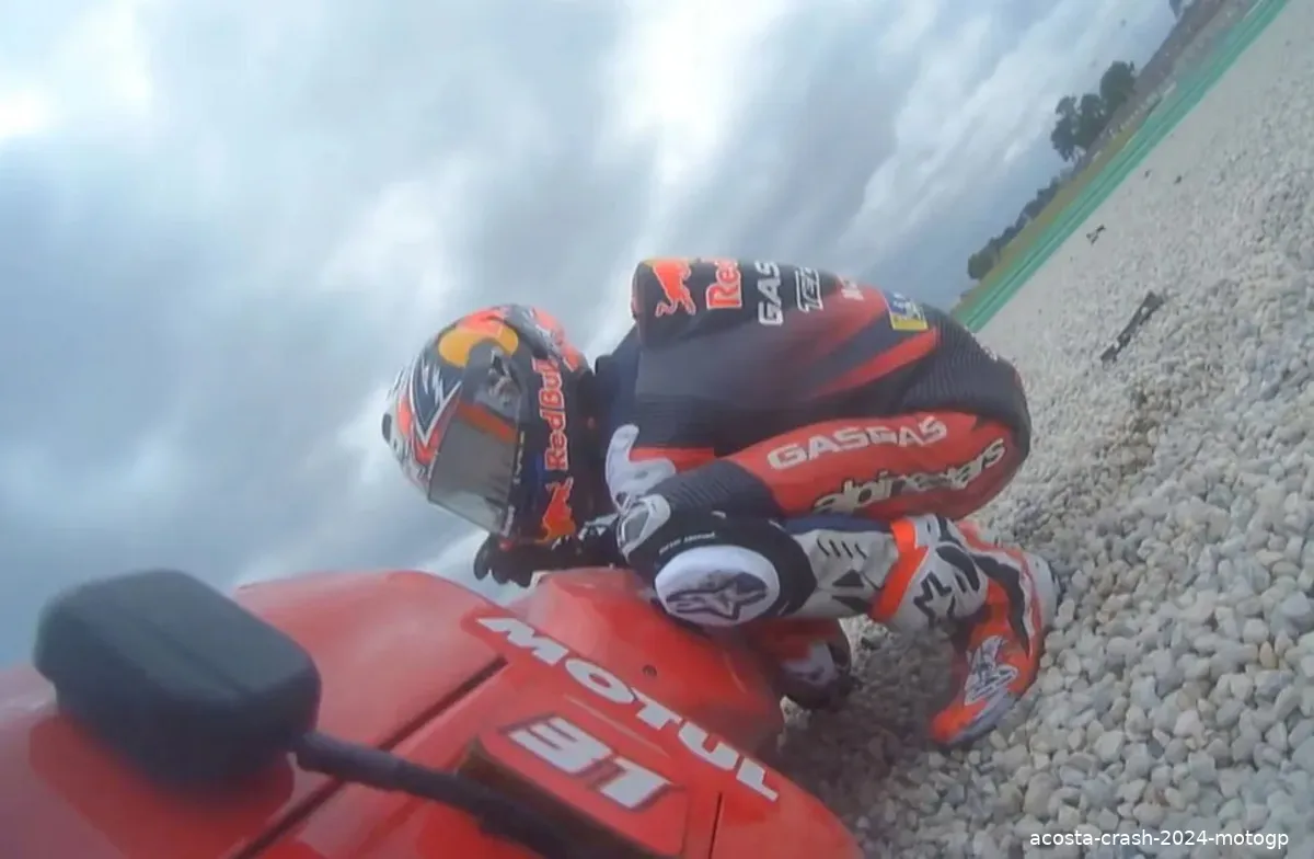 acosta crash 2024 motogp