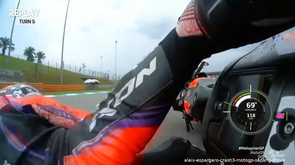 aleix espargaro crash3 motogp sepang prove