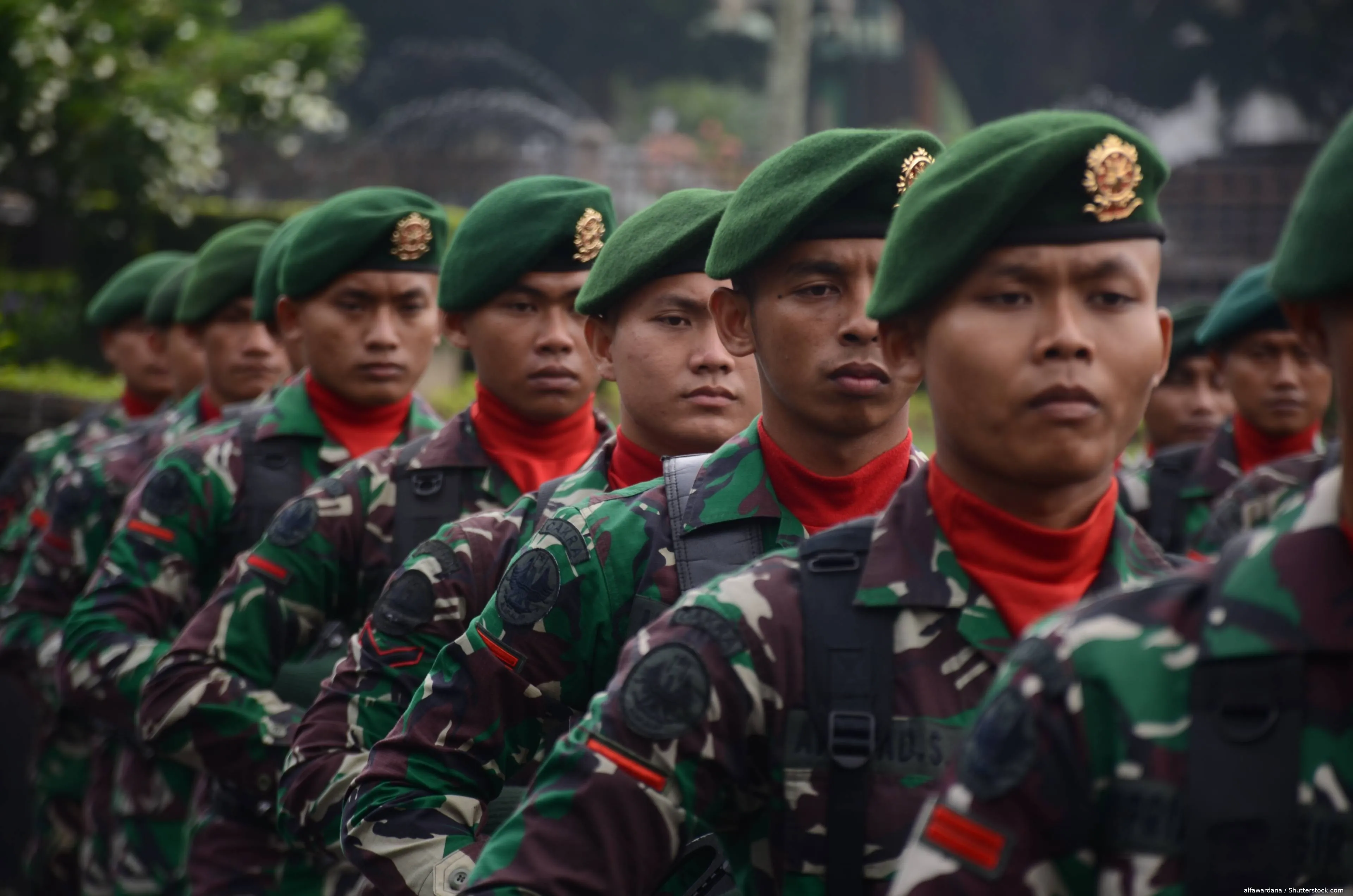 shutterstock_2211125777