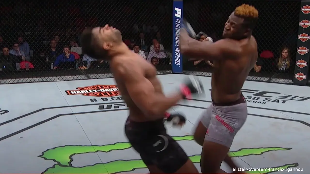 alistair overeem francis ngannou