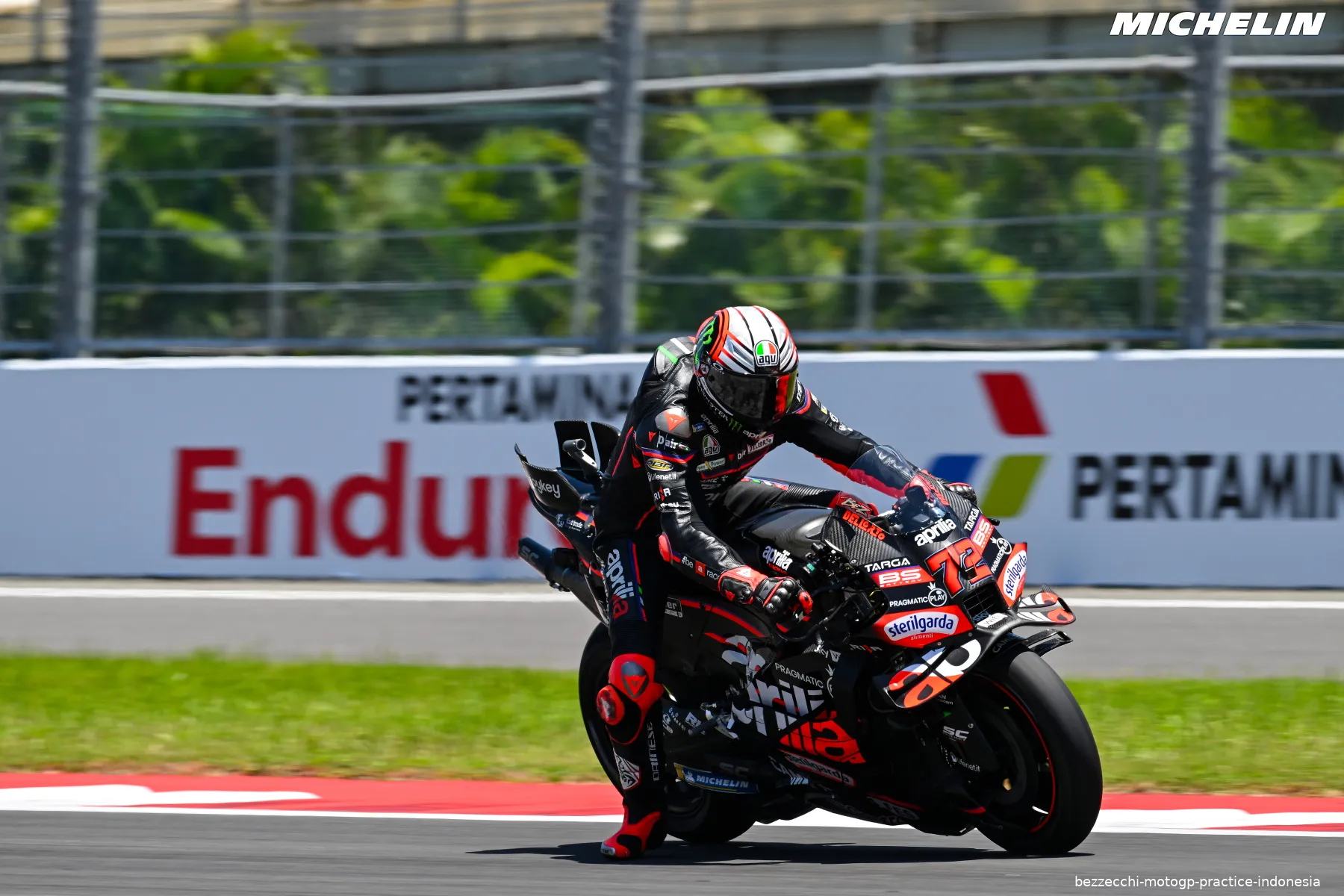 bezzecchi motogp practice indonesia