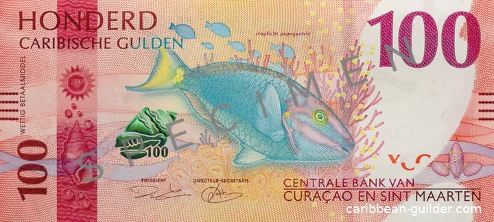 caribi 100