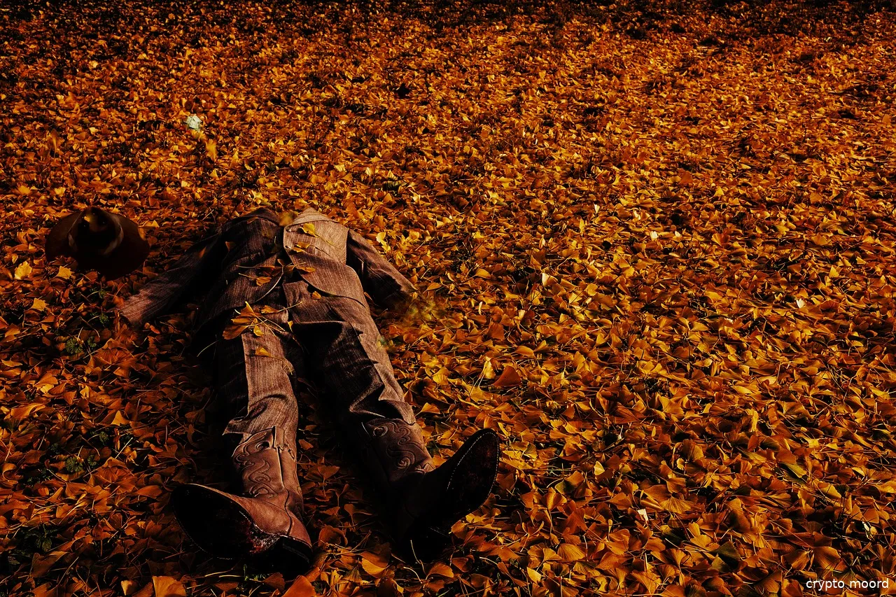 fernando perez algaba