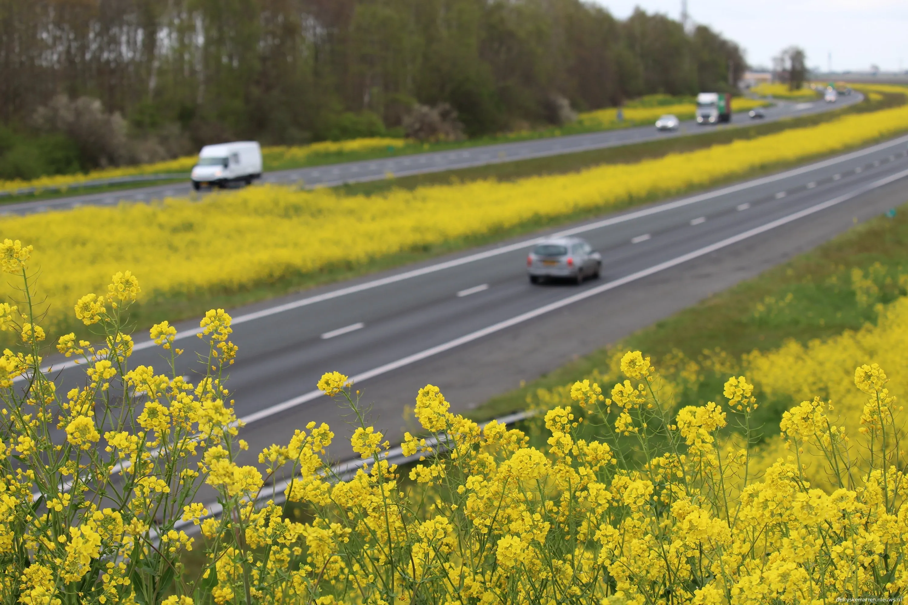 bloeiende berm a6 mhpublicatiesnl