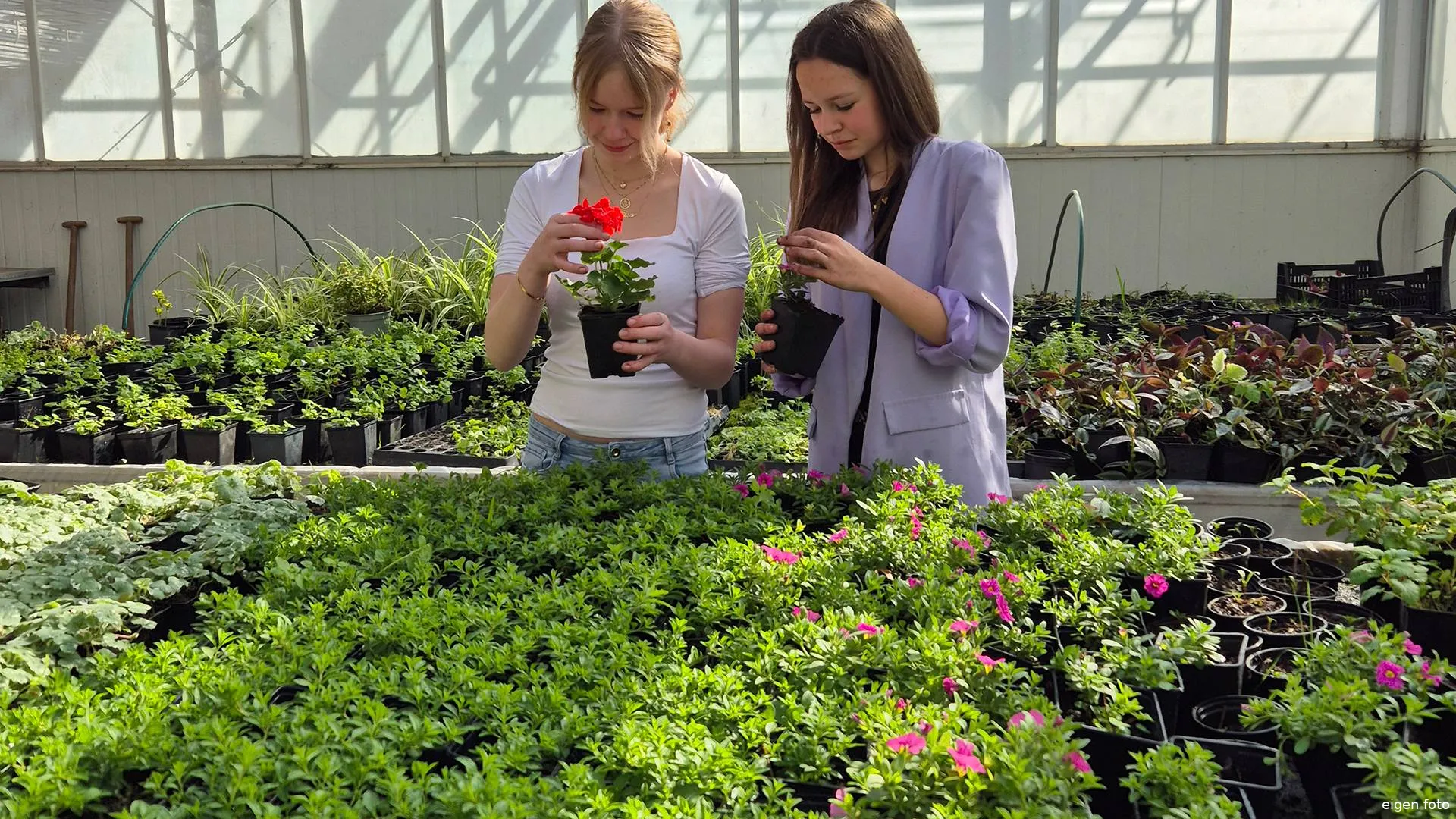 Informatieavond Aeres Nijkerk