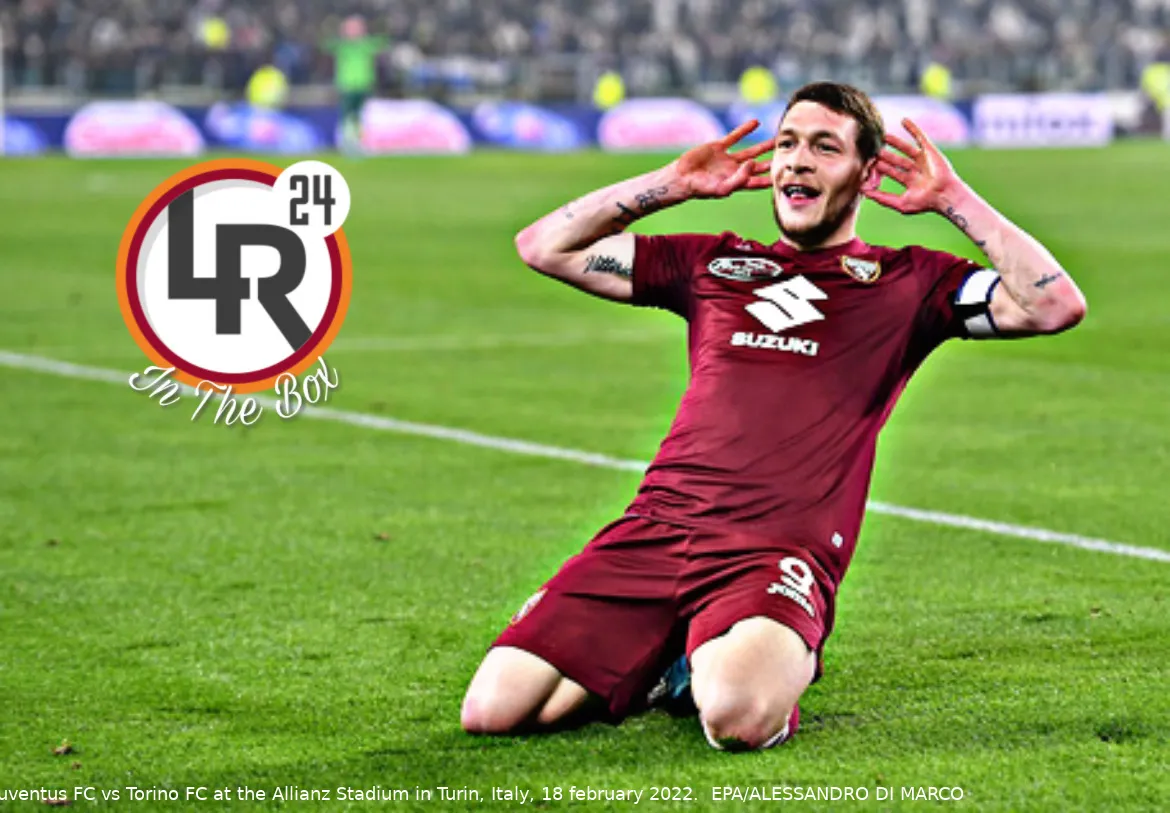 belotti in the box