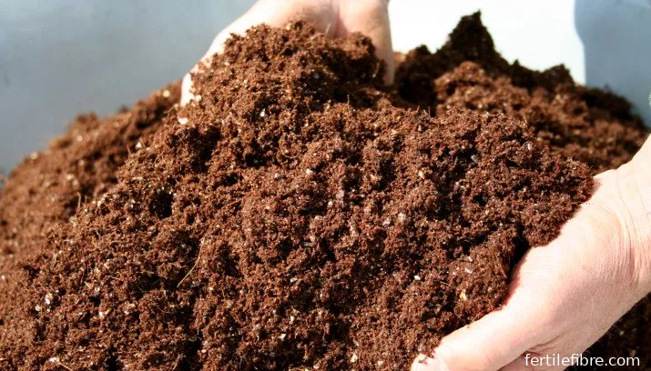 seedcompost011 715x408