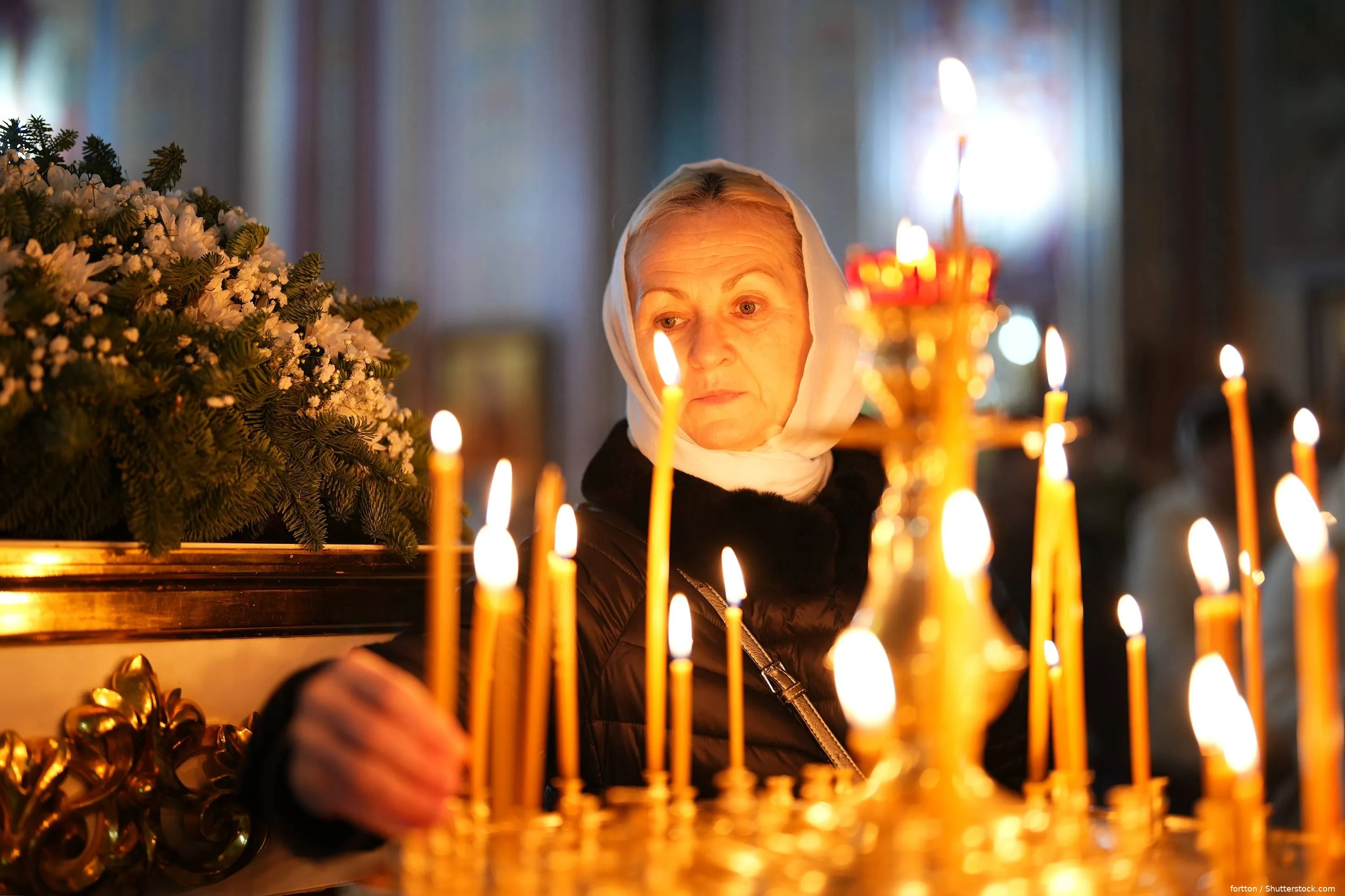 shutterstock_2721616783