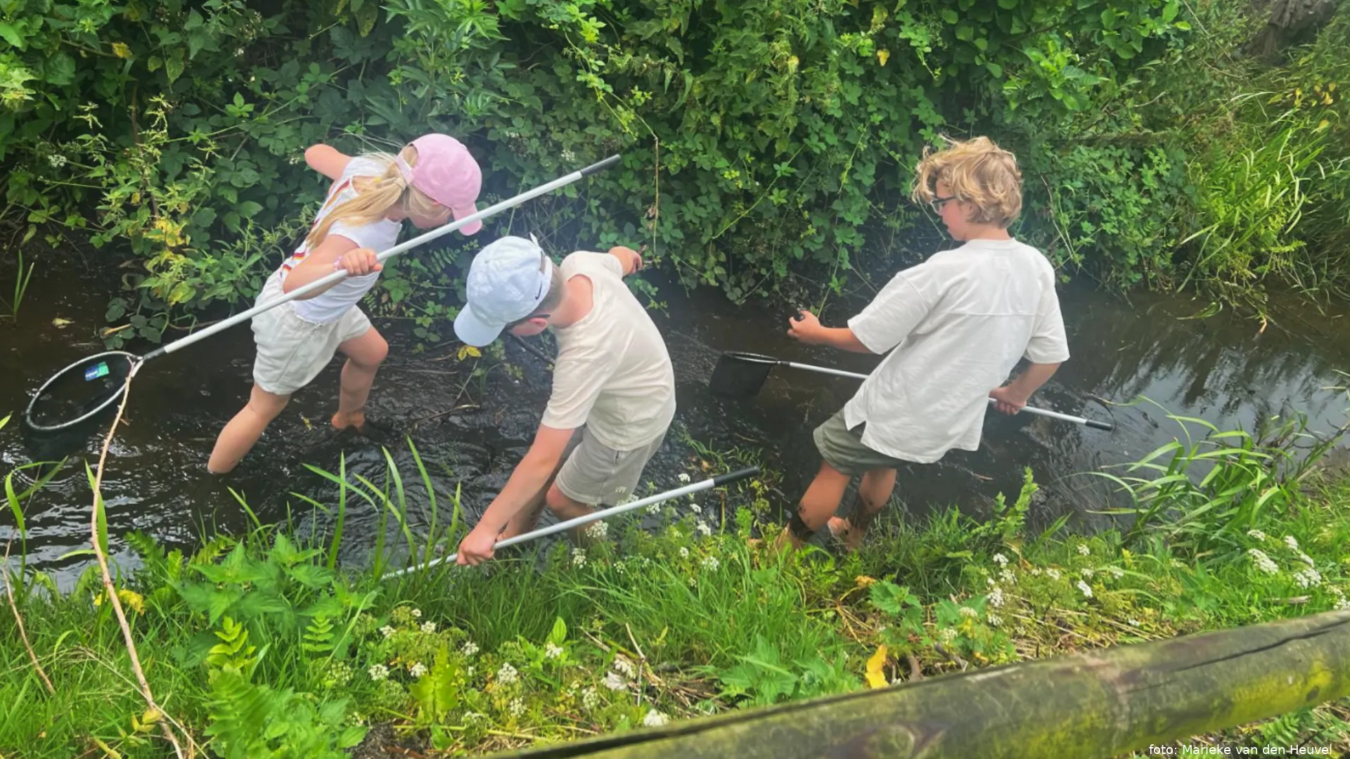 Jeugdnatuurclub IVN Nijkerk gaat slootjes vissen bij Laakzijde
