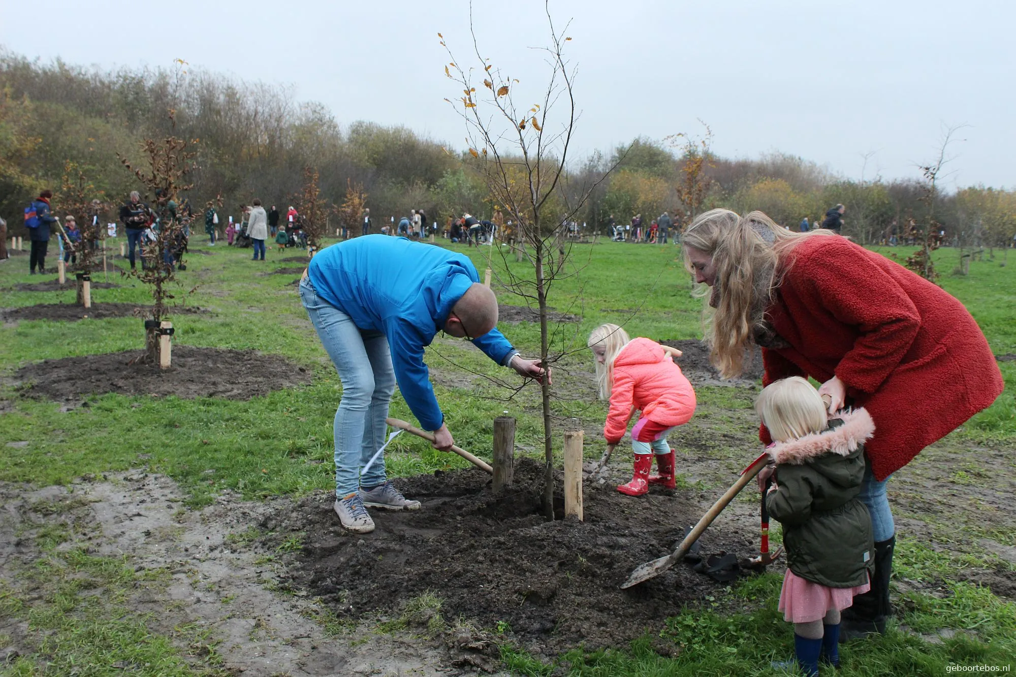 t feb 2022 boom planten 3