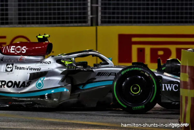 hamilton shunts in singapore