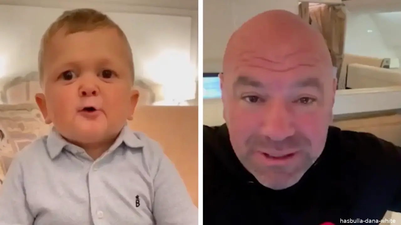 hasbulla dana white