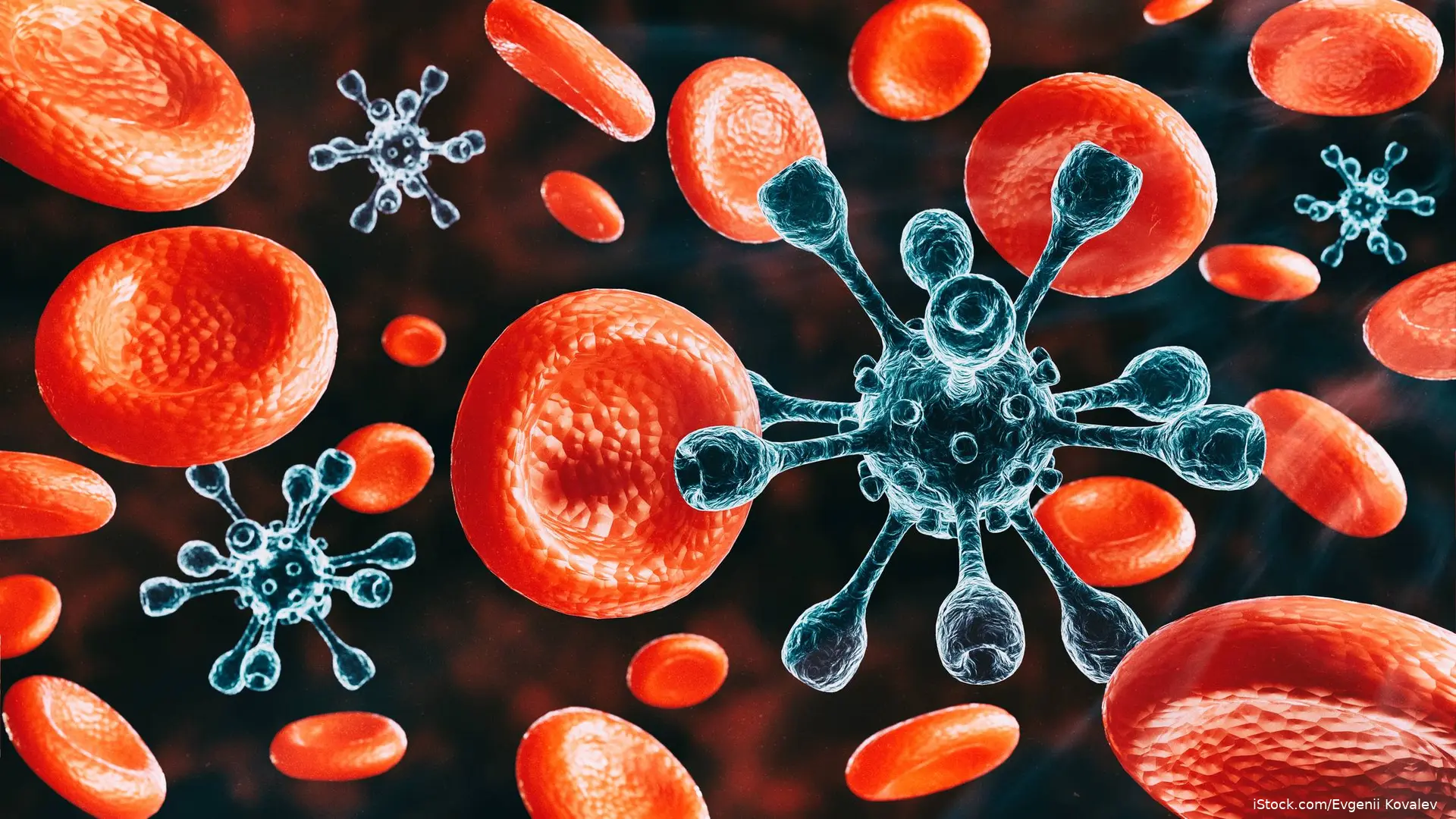illustration of a bloodstream infection: red blood cells surrounded by virus-like pathogens