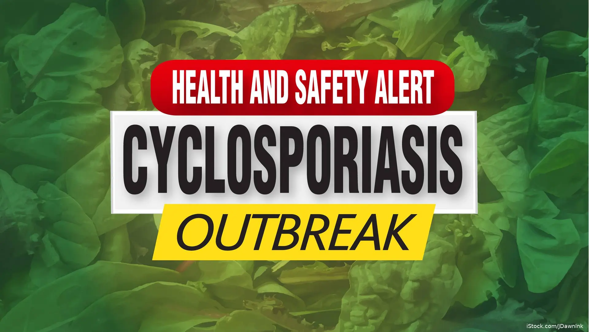 cyclosporiasis outbreak health and safety alert image