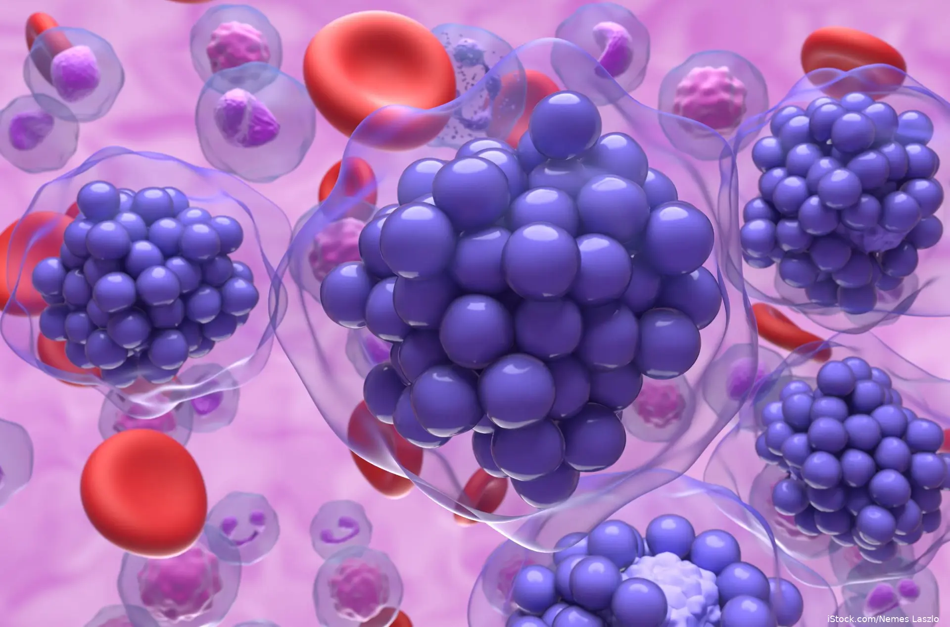 image of red blood cells and irregular cells