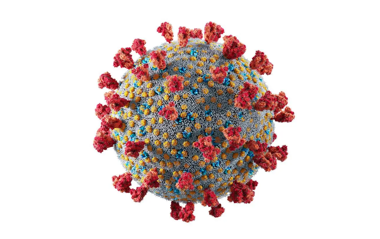 Medical illustration of covid cell
