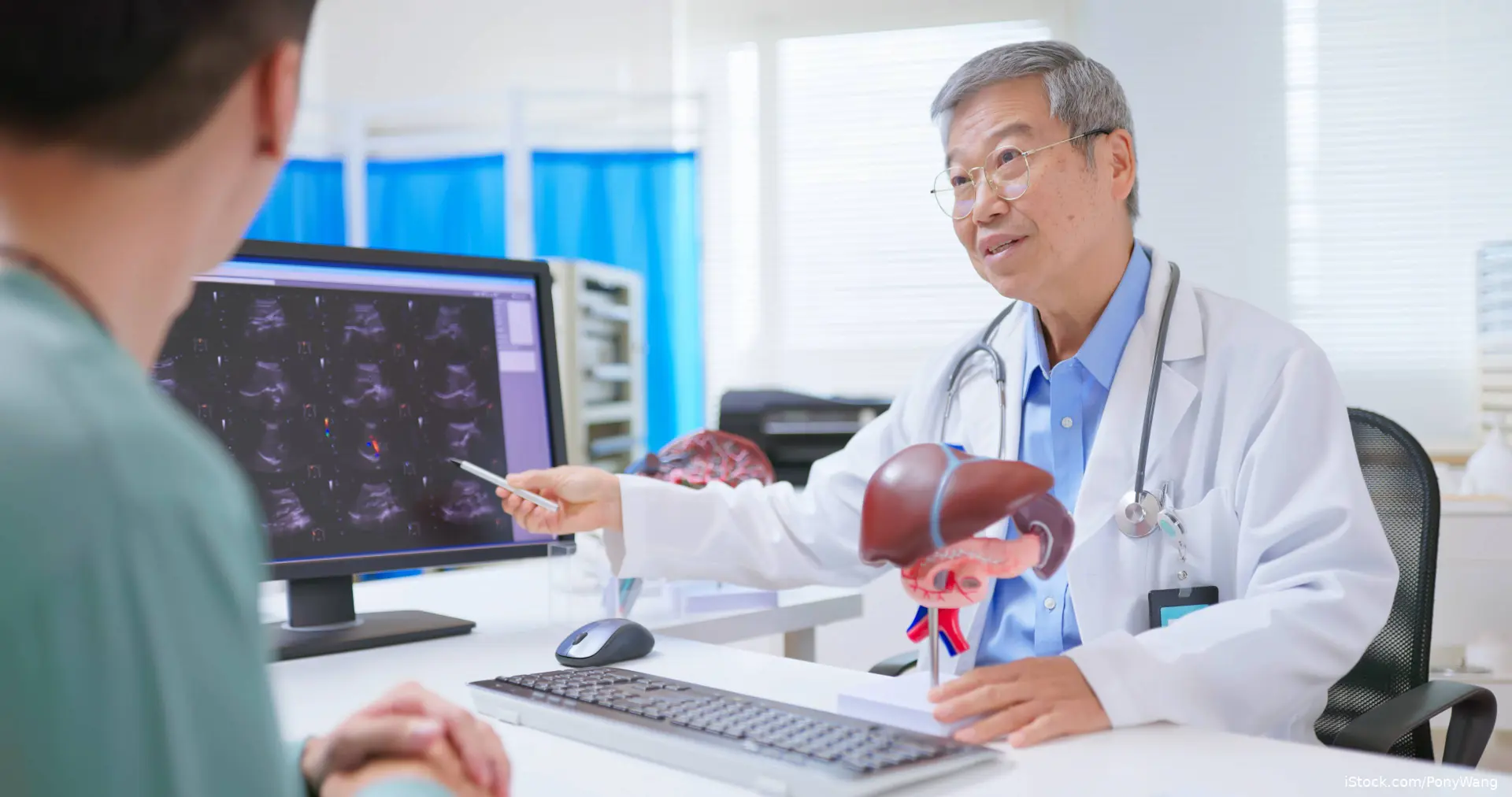 Doctor counseling patient with kidney model on desk