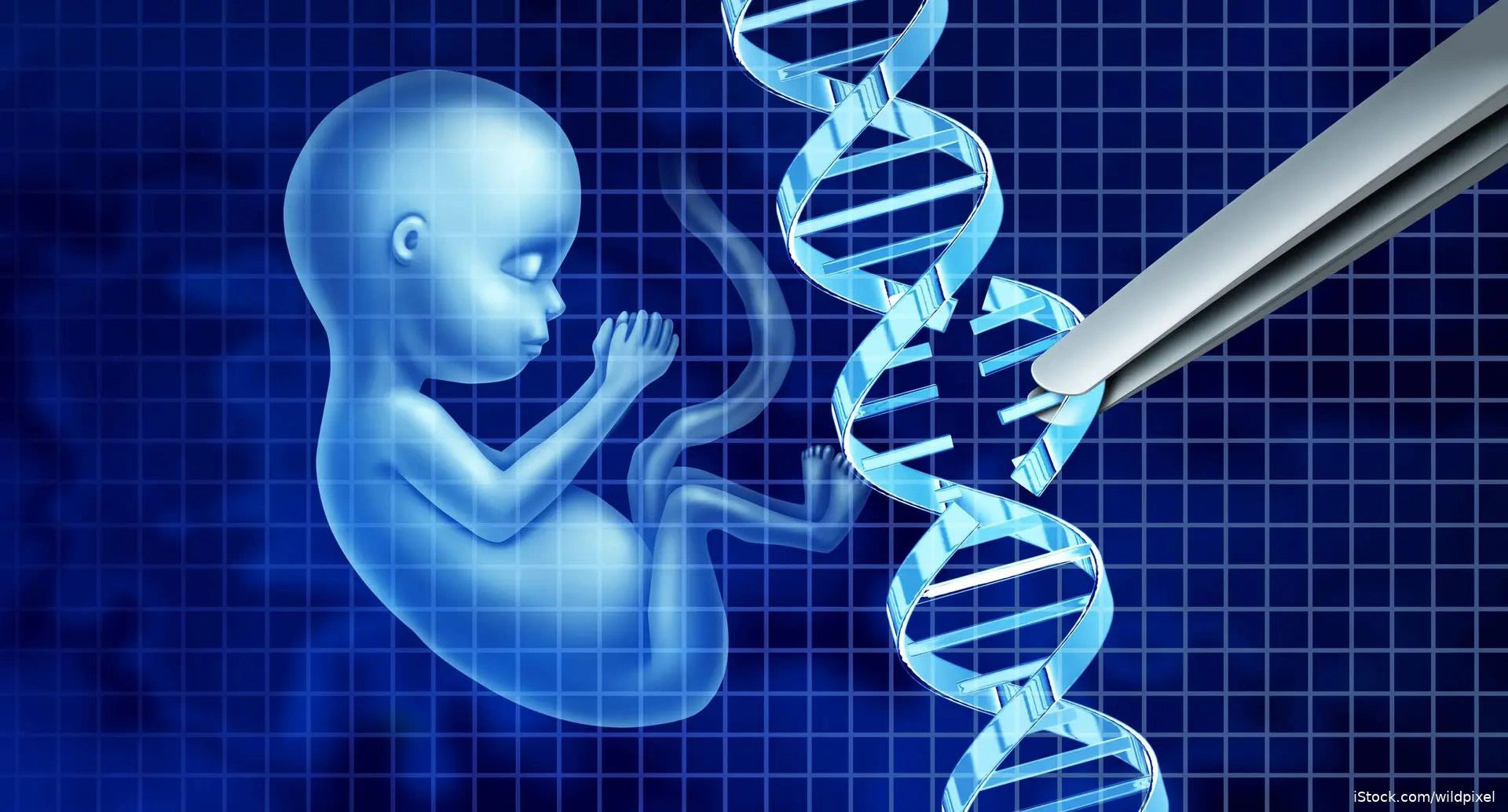 image of fetus and DNA