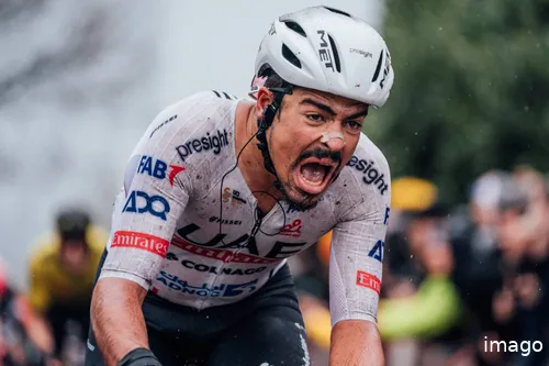 palabras de morgado imago 1043154246