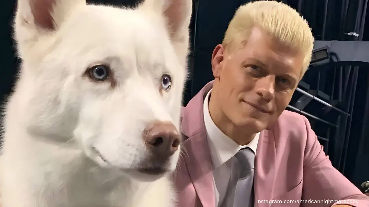 wwe_cody_rhodes_pharaoh