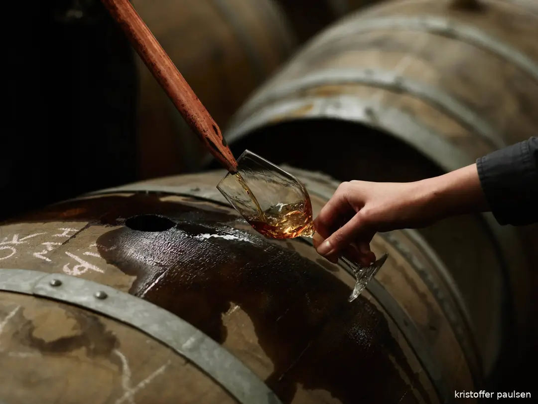 Starward barrel tasting