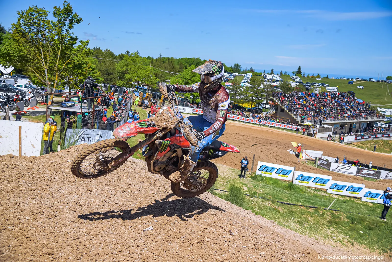 lupino ducati motocross cingoli