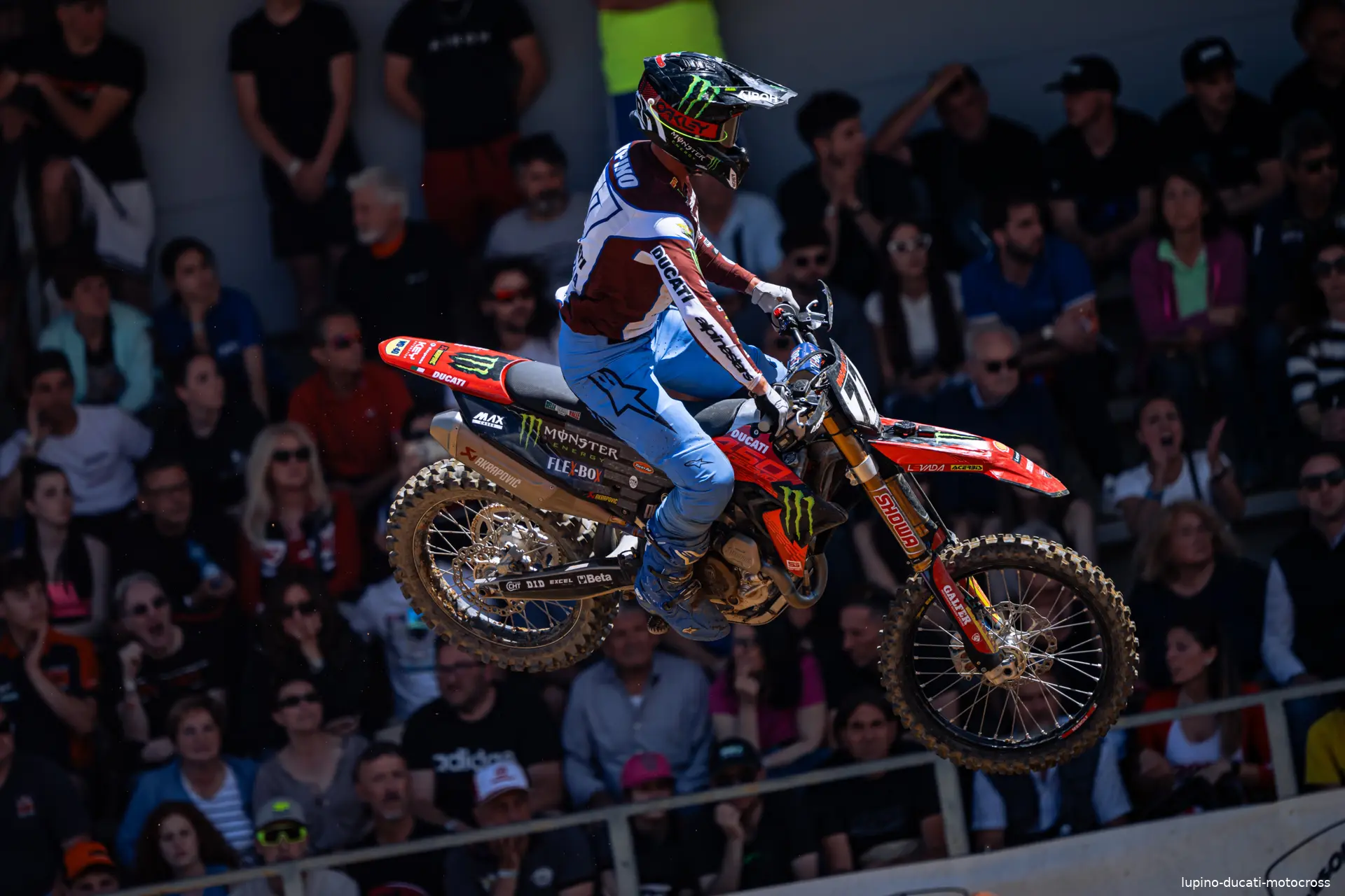 lupino ducati motocross
