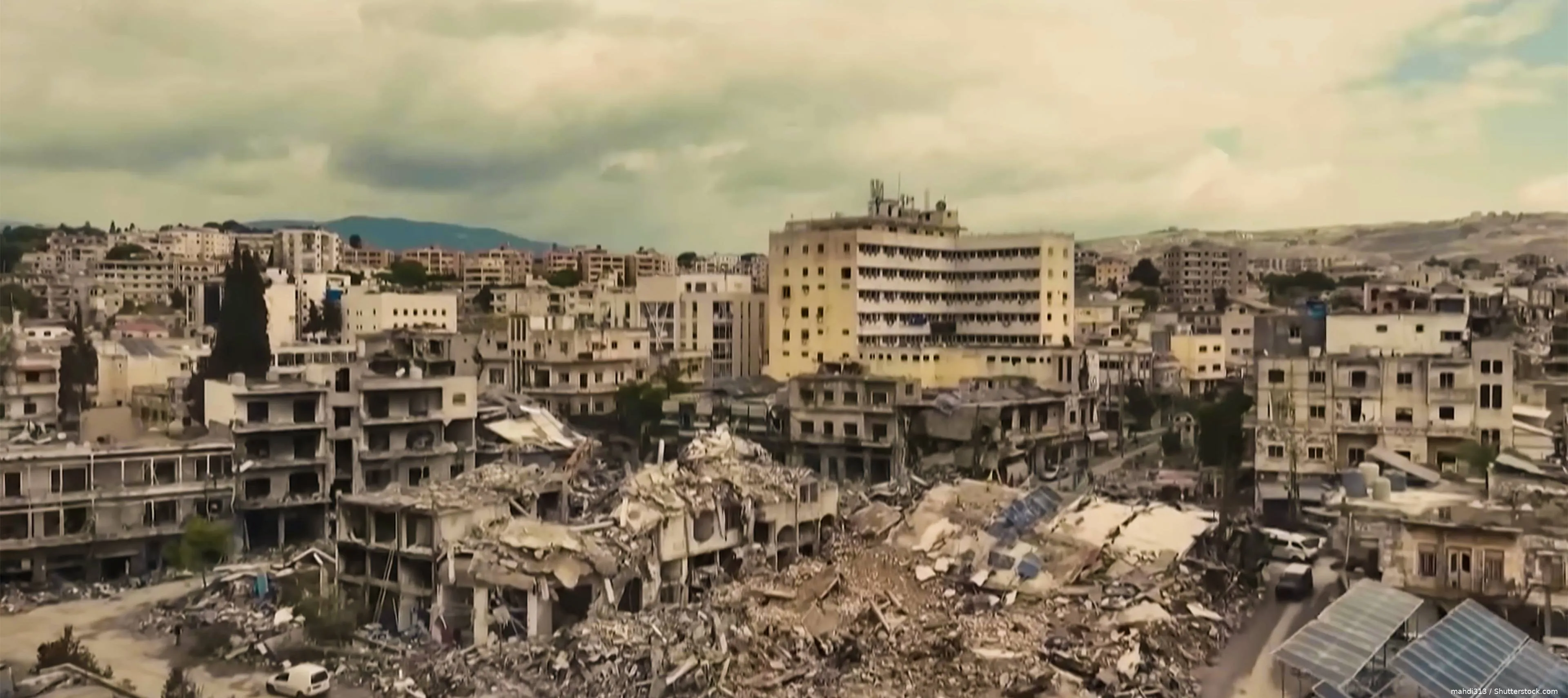 shutterstock_2715644083