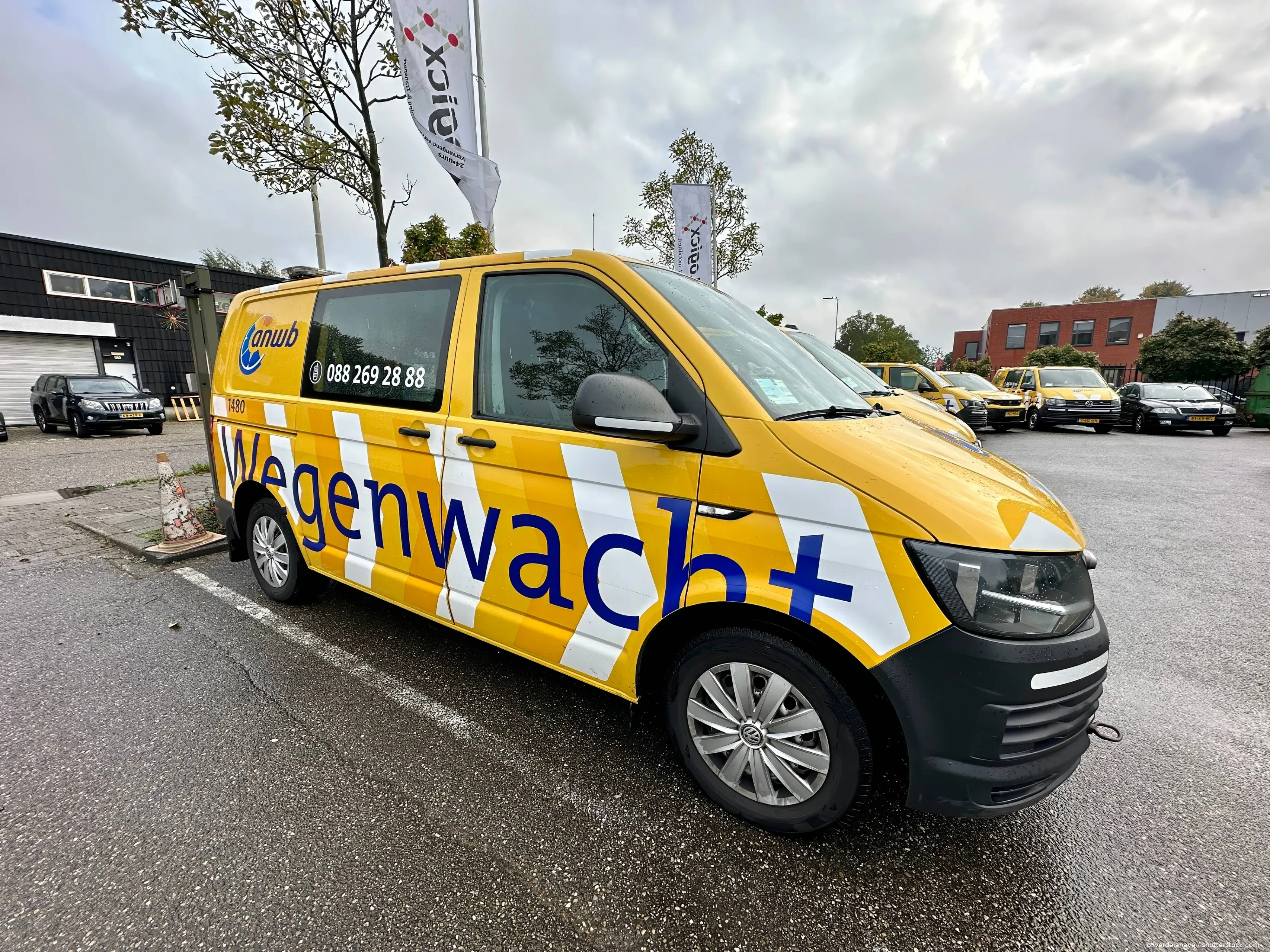 shutterstock_2525577147