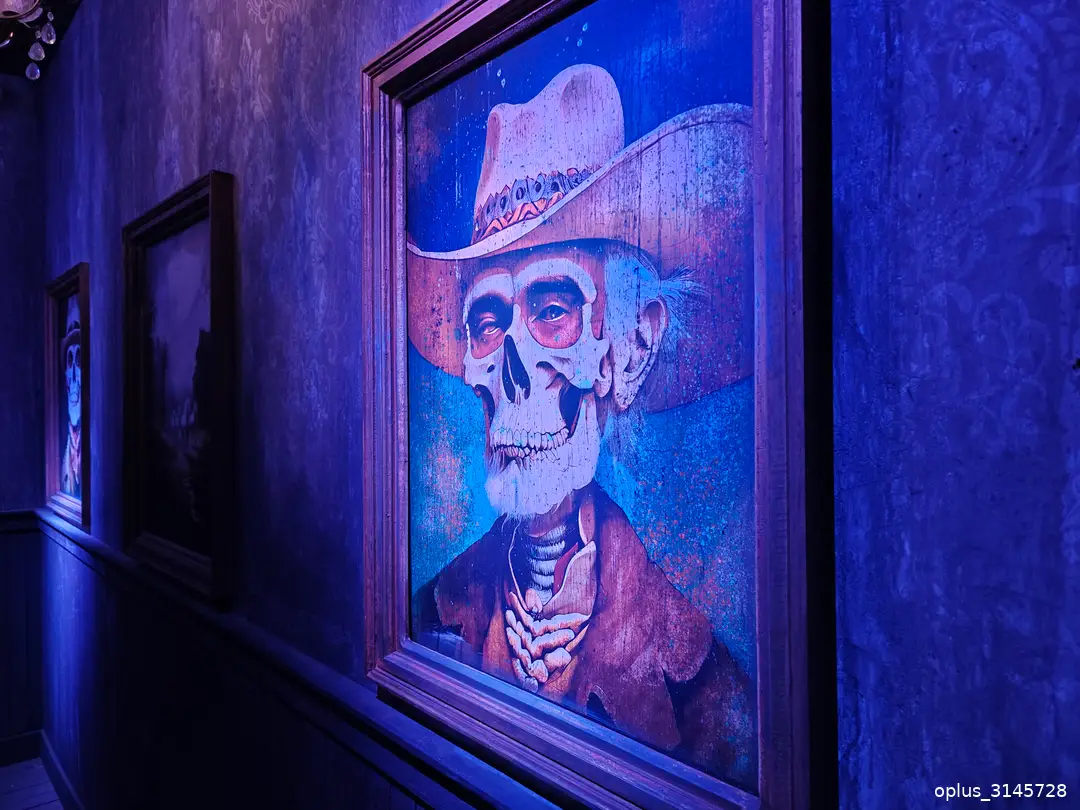 slagharen cowboy