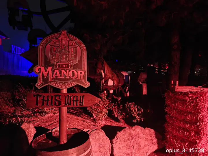 manor
