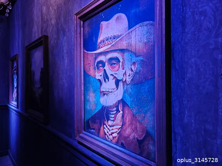 slagharen cowboy