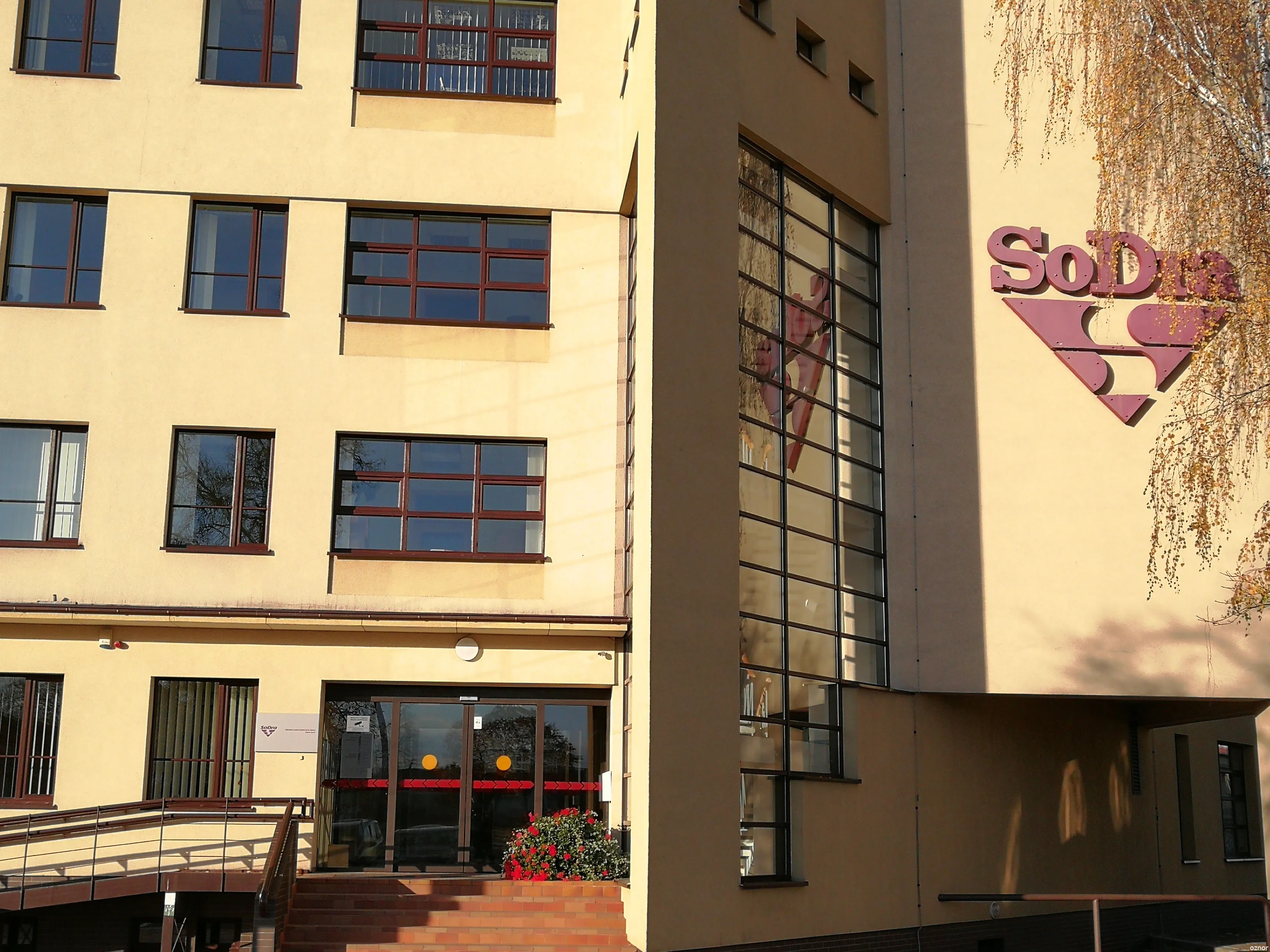 sodrimg 20181021 1637071