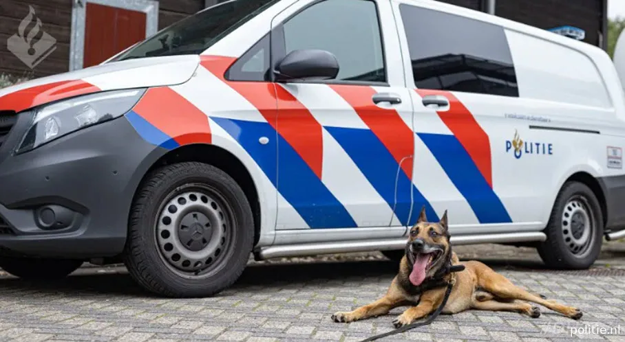 politie hond