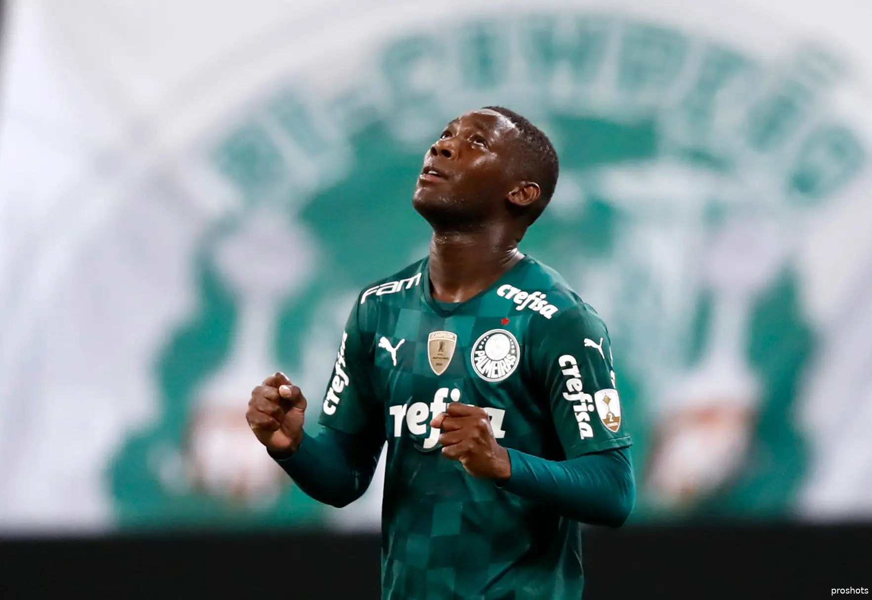 Patrick de Paula Palmeiras