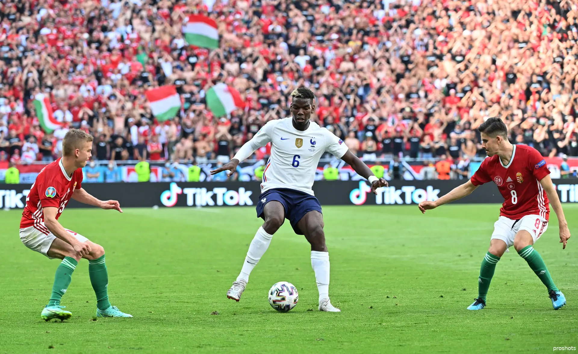 Paul Pogba Frankrijk
