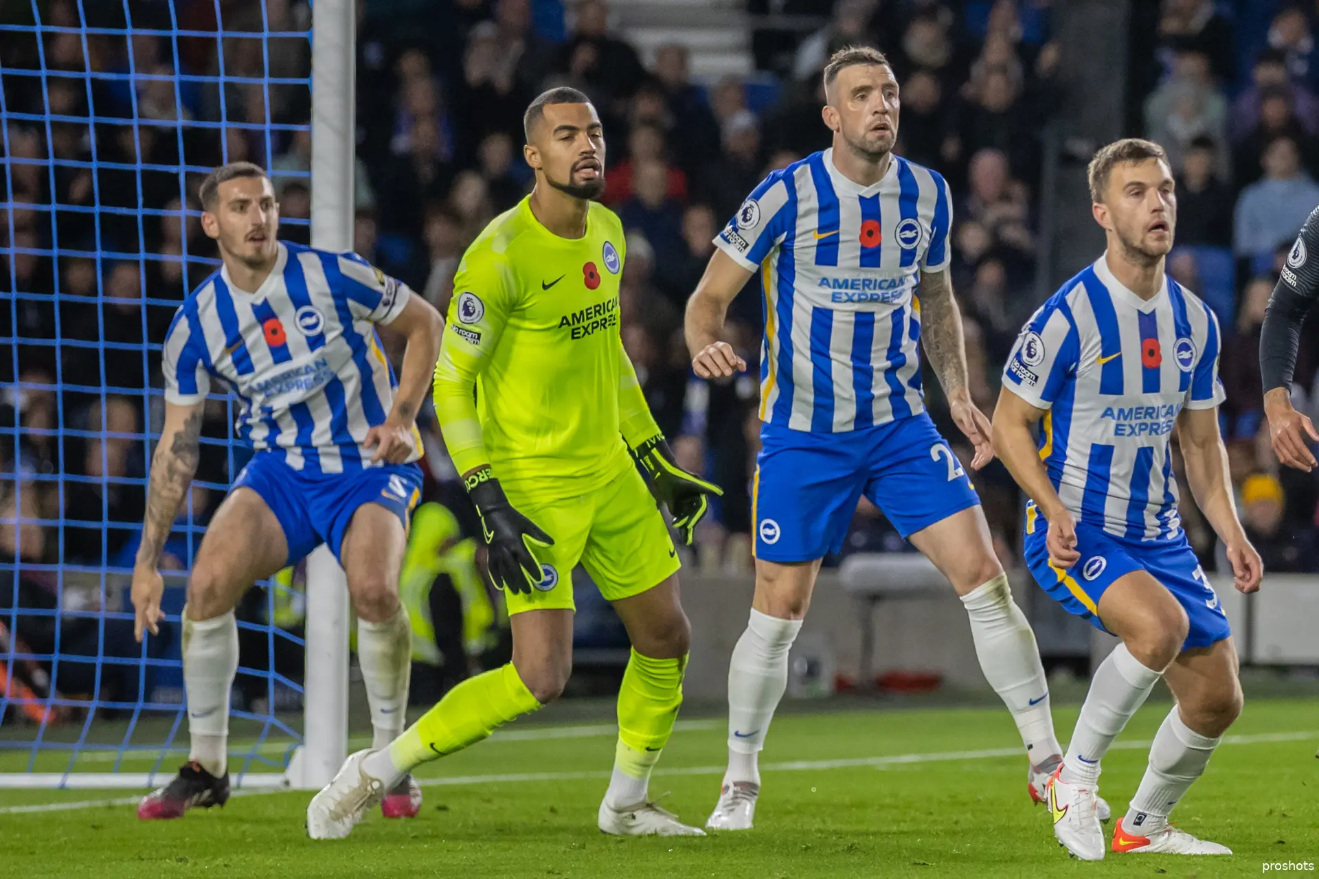 joel veltman brighton and hove albion