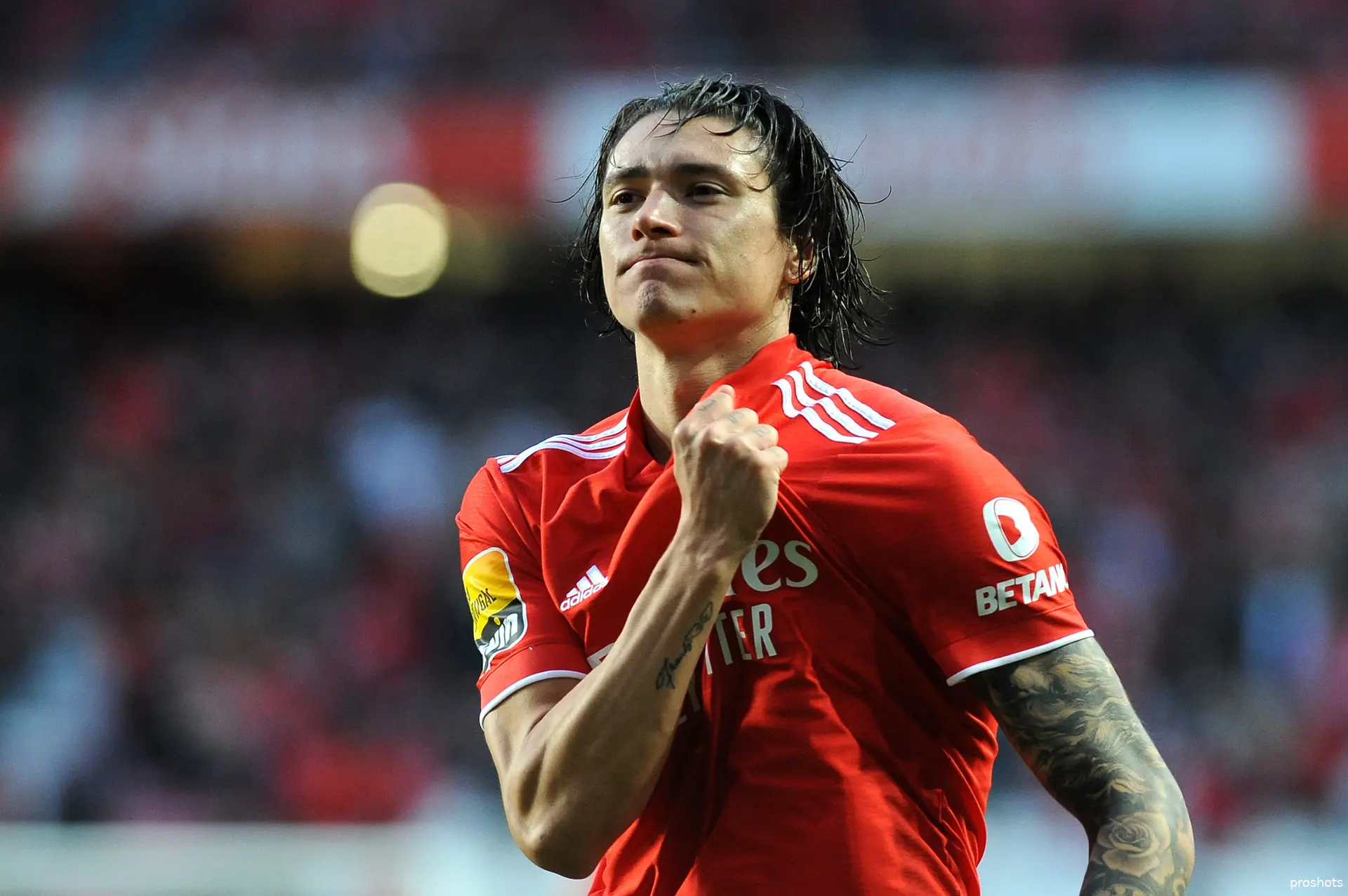 darwin nunez benfica