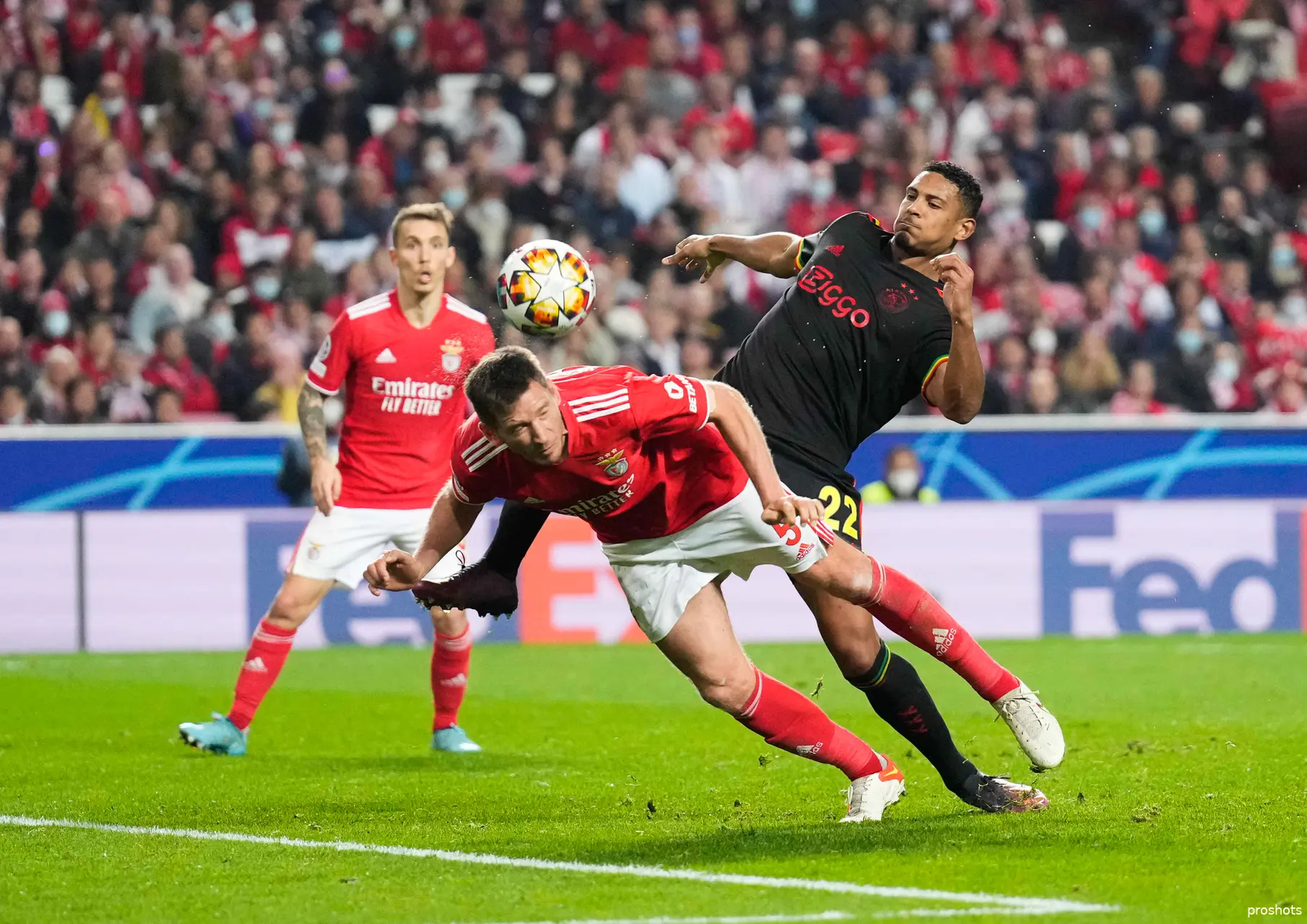 Jan Vertonghen